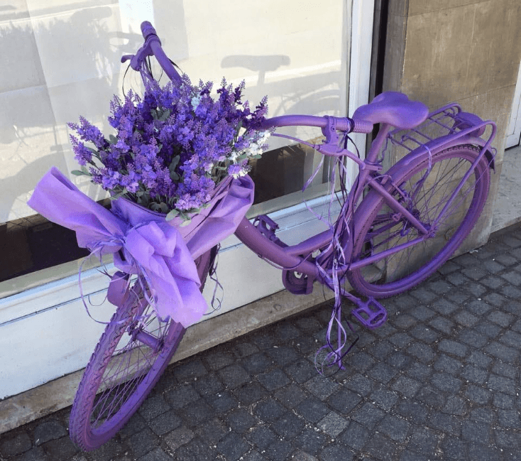 Lavanda del Lago Brescia