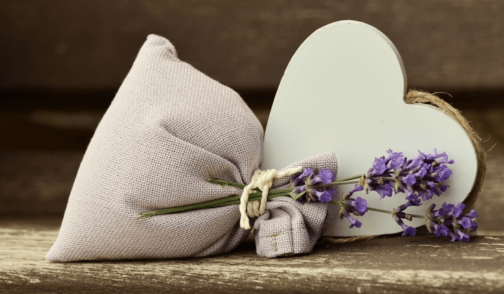 Consulente Lavanda del Lago