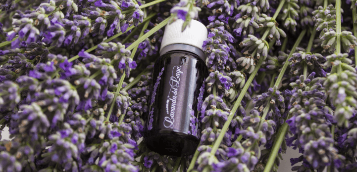 Olio essenziale di Lavanda